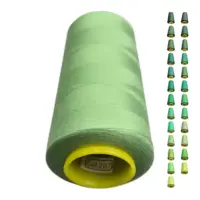 Нитки 40 2 KIWI колір 207