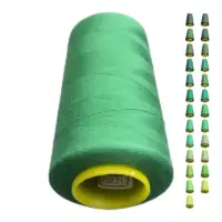 Нитки 40 2 KIWI колір 212