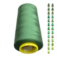 Нитки 40 2 KIWI колір 216