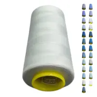 Нитки 40 2 KIWI колір 302