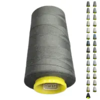Нитки 40 2 KIWI колір 373