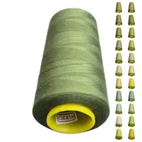 Нитки 40 2 KIWI колір 419