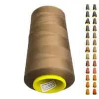Нитки 40 2 KIWI колір 491